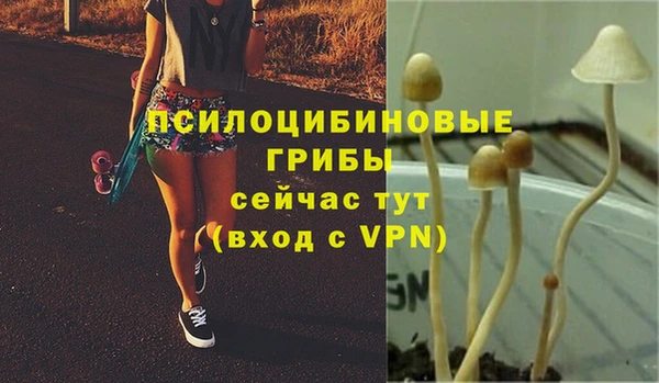 кокаин Каменногорск