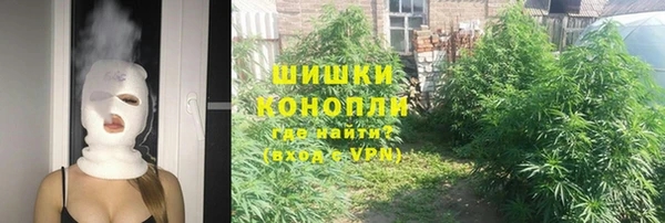 mdpv Заводоуковск
