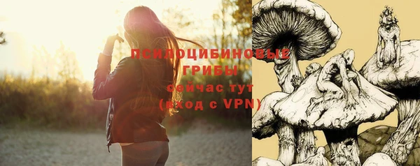 амф Алексин